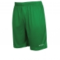 Preview: Stanno Field Shorts Grün